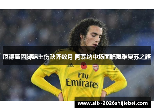 厄德高因脚踝重伤缺阵数月 阿森纳中场面临艰难复苏之路 厄德高因脚踝重伤缺阵数月 阿森纳中场面临艰难复苏之路